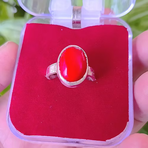 Red Coral ( Munga )