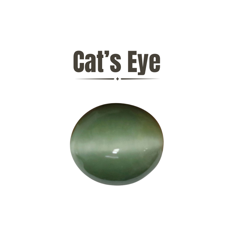 Cats-Eye