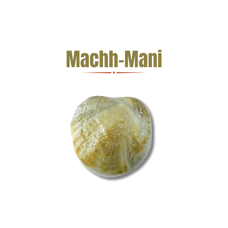 Machh - Mani
